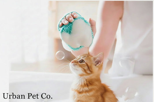 Pet Bath Massage Brush – Soft Silicone Grooming Tool for Dogs & Cats