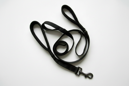 Double Handle Reflective Dog Leash