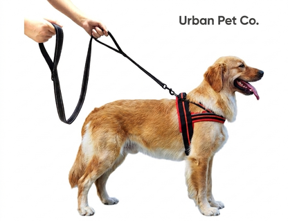 Double Handle Reflective Dog Leash